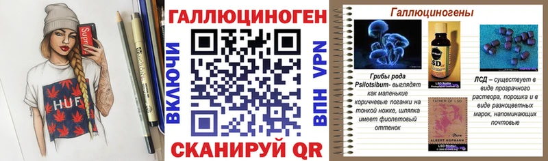 Купить закладки  Заречный  Псилоцибиновые грибы Psilocybine cubensis 